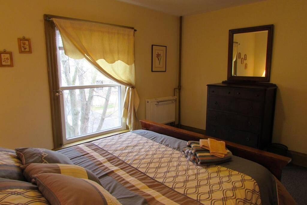 Great Gorge Guesthouse - Walk To The Falls, The Casino And All Downtown Restaurants - Across From The Aquarium Niagara Falls Eksteriør bilde